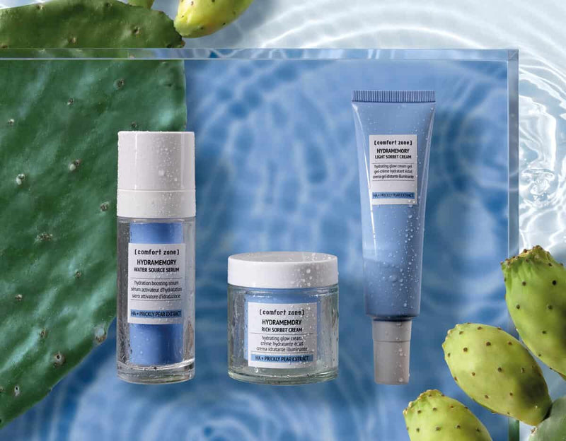 Hydramemory